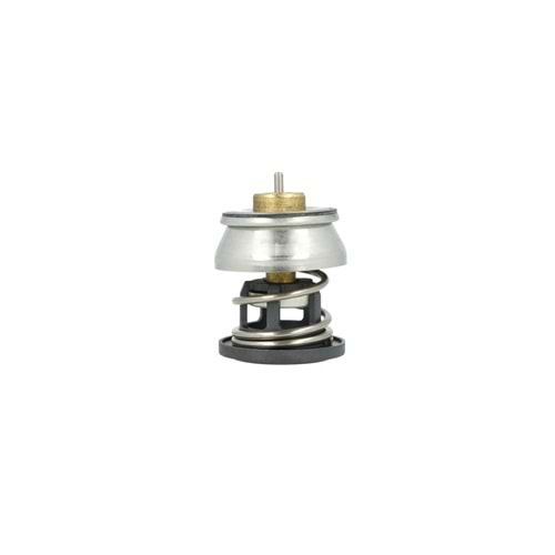 TERMOSTAT BMW F10-F30-F32-G30 B47